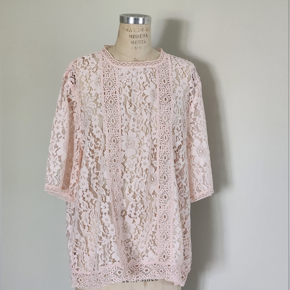 NWT LOFT Lace top